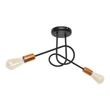 Kiinteä kattokruunu OXFORD 2xE27/15W/230V musta