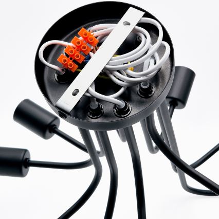 Kiinteä kattokruunu TRINITY 10xE27/15W/230V musta