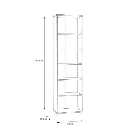 Kirjahylly URAN artisan-tammi