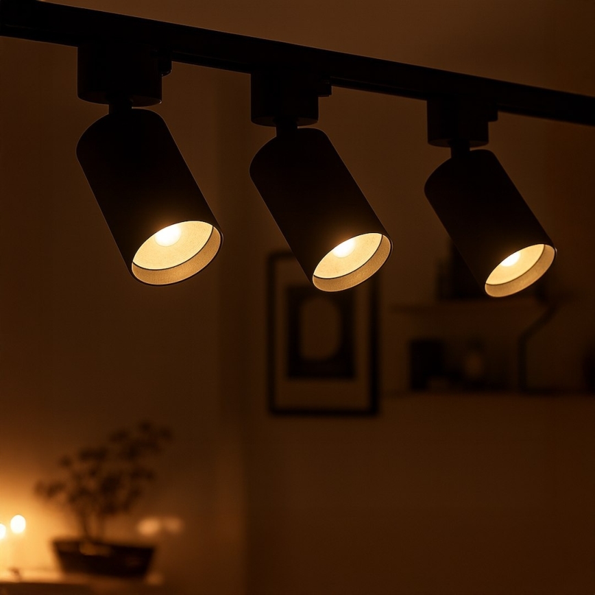 Kohdevalaisin 1-vaiheiseen kiskojärjestelmään TIGER 1xGU10/10W/230V musta