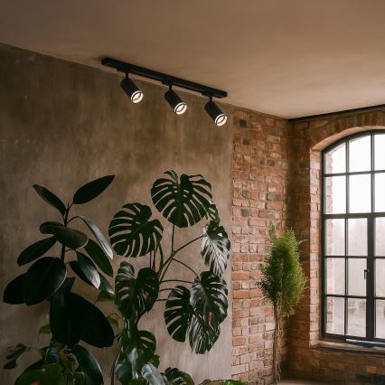 Kohdevalaisin PIPE-kiskojärjestelmään 3xGU10/10W/230V musta