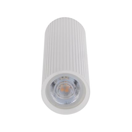 Kohdevalaisin TUNE M 1xGU10/10W/230V 17 cm valkoinen