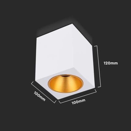 Kohdevalo 1xGU10/35W/230V neliö valkoinen