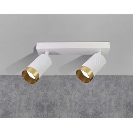 Kohdevalo ARRAS 2xGU10/10W/230V valkoinen