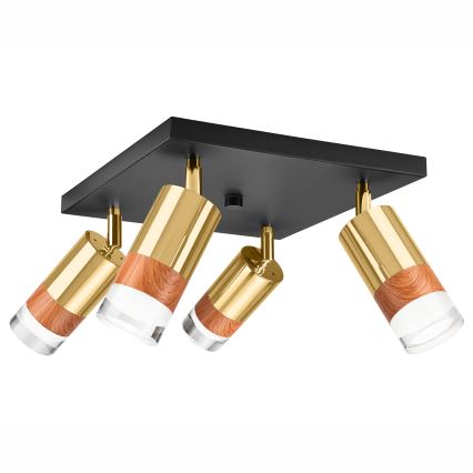 Kohdevalo AURORA 4xGU10/10W/230V