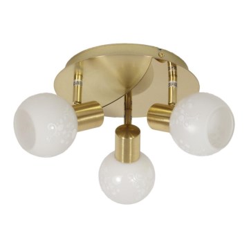 Kohdevalo AVILA 3xE14/40W/230V