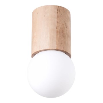 Kohdevalo BOOMO 1xG9/8W/230V pyökki