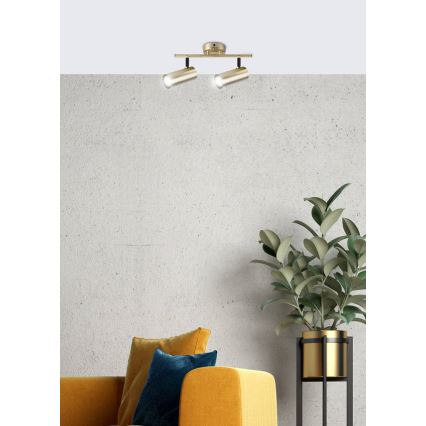 Kohdevalo COLLY 2xGU10/15W/230V kulta