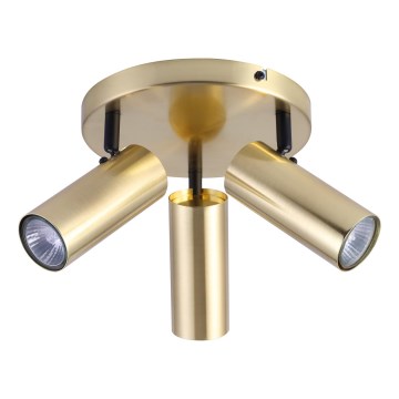 Kohdevalo COLLY 3xGU10/15W/230V kulta