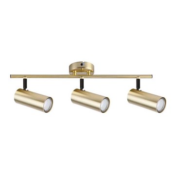 Kohdevalo COLLY 3xGU10/15W/230V kulta