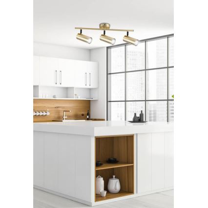 Kohdevalo COLLY 3xGU10/15W/230V kulta