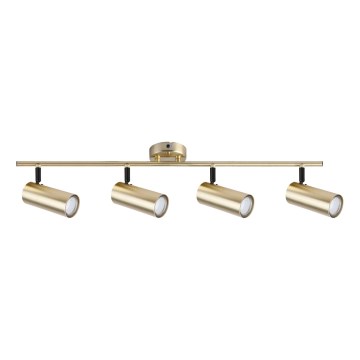 Kohdevalo COLLY 4xGU10/15W/230V kulta