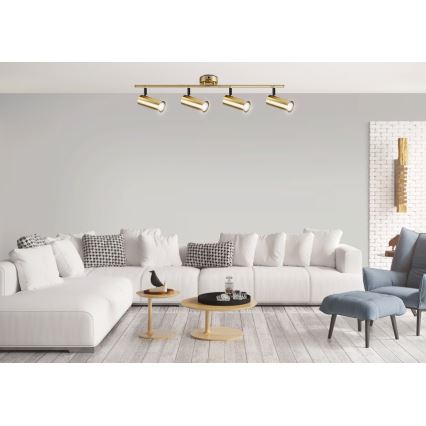 Kohdevalo COLLY 4xGU10/15W/230V kulta