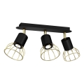 Kohdevalo DANTE 3xGU10/25W/230V musta/kulta