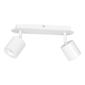 Kohdevalo DEMIA 2xGU10/8W/230V valkoinen