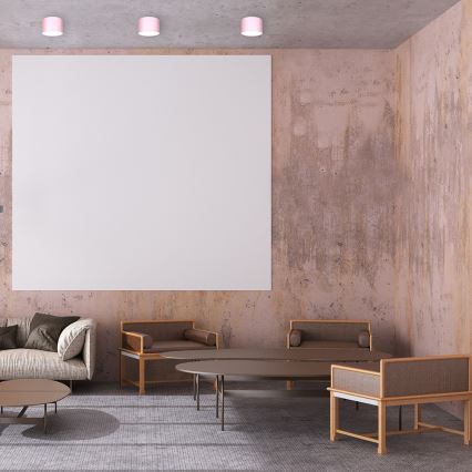 Kohdevalo DIXIE 1xGX53/11W/230V pinkki