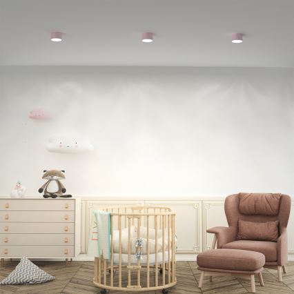 Kohdevalo DIXIE 1xGX53/11W/230V pinkki