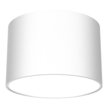 Kohdevalo DIXIE 1xGX53/11W/230V valkoinen