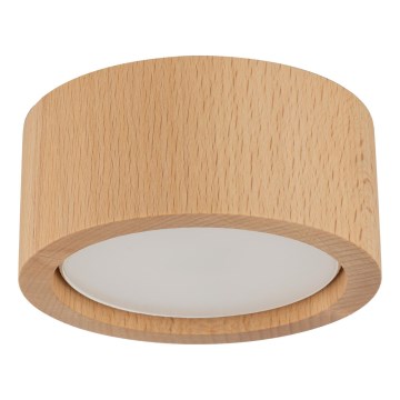 Kohdevalo EVE 1xGX53/11W/230V pyökki