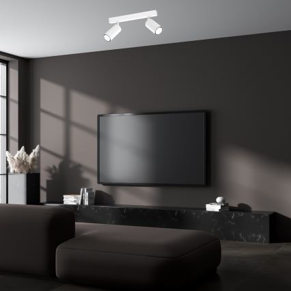 Kohdevalo HUDSON 2xGU10/8W/230V valkoinen