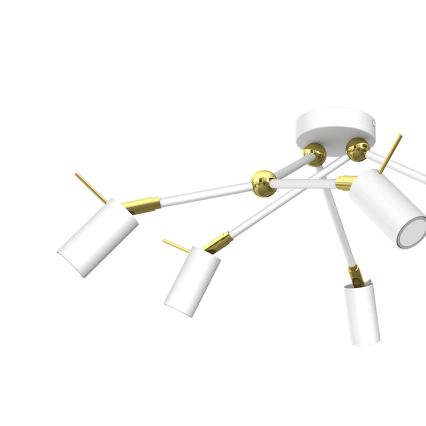 Kohdevalo IRIS 6xGU10/MR11/40W/230V valkoinen/kulta