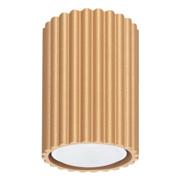 Kohdevalo KARBON 1xGU10/10W/230V 10 cm kulta