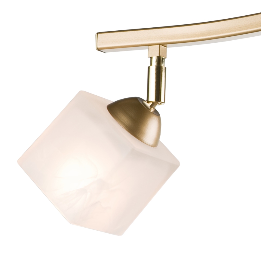 Kohdevalo KLARA 2xE14/40W/230V kulta