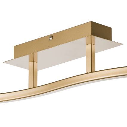 Kohdevalo KLARA 2xE14/40W/230V kulta