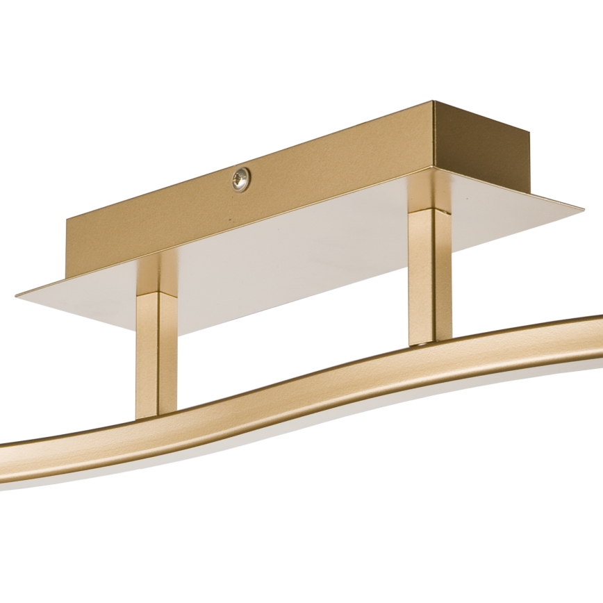 Kohdevalo KLARA 2xE14/40W/230V kulta