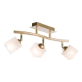 Kohdevalo KLARA 3xE14/40W/230V kulta