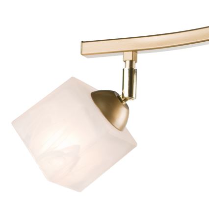 Kohdevalo KLARA 3xE14/40W/230V kulta