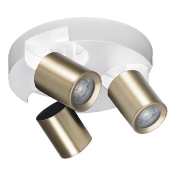 Kohdevalo LAURIN 3xGU10/10W/230V messinki/valkoinen