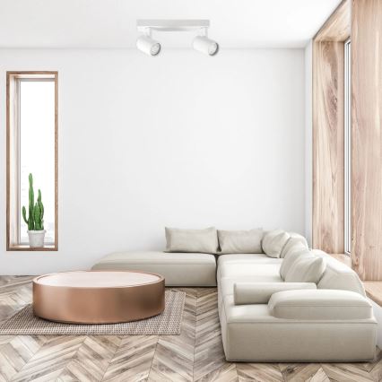 Kohdevalo LYNX 2xGU10/10W/230V valkoinen