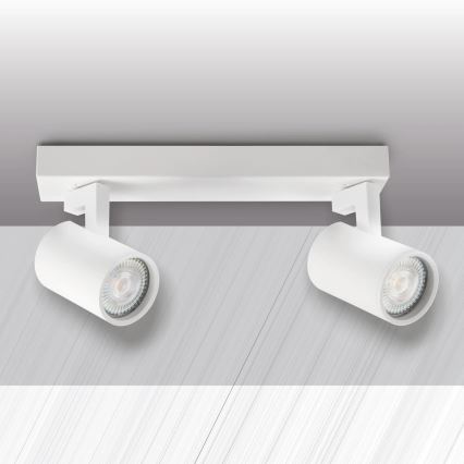 Kohdevalo LYNX 2xGU10/10W/230V valkoinen