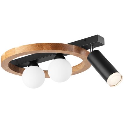 Kohdevalo OTIS 2xG9/5W/230V + 1xE27/15W/230V tammi