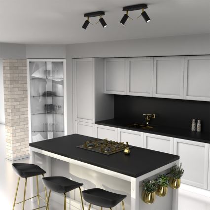 Kohdevalo PRESTON 2xGU10/MR11/40W/230V musta/kulta