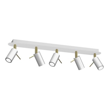 Kohdevalo PRESTON 5xGU10/MR11/40W/230V valkoinen/kulta