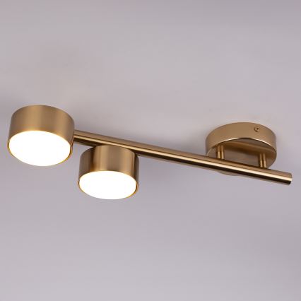 Kohdevalo PUNTO 2xGX53/12W/230V kulta