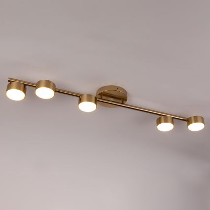 Kohdevalo PUNTO 5xGX53/12W/230V kulta