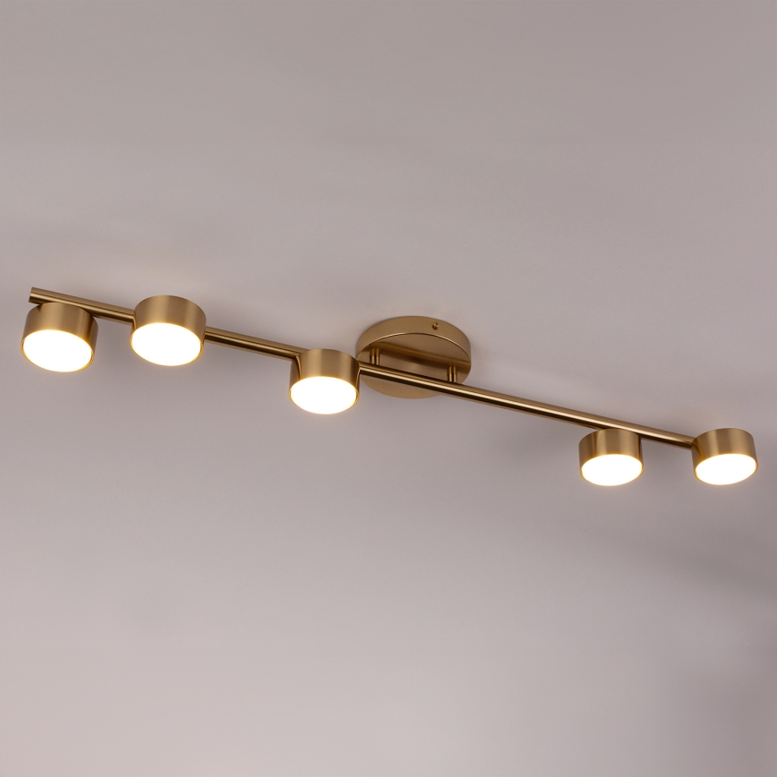 Kohdevalo PUNTO 5xGX53/12W/230V kulta