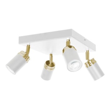 Kohdevalo RENO 4xGU10/8W/230V valkoinen/kulta