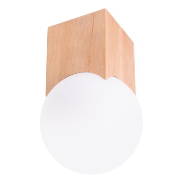 Kohdevalo SOLIS 1xG9/8W/230V pyökki