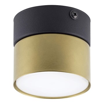 Kohdevalo SPACE GOLD 1xGX53/15W/230V