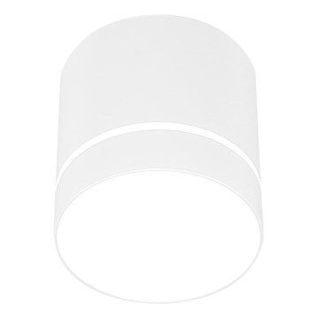 Kohdevalo TUBA 1xGU10/15W/230V valkoinen