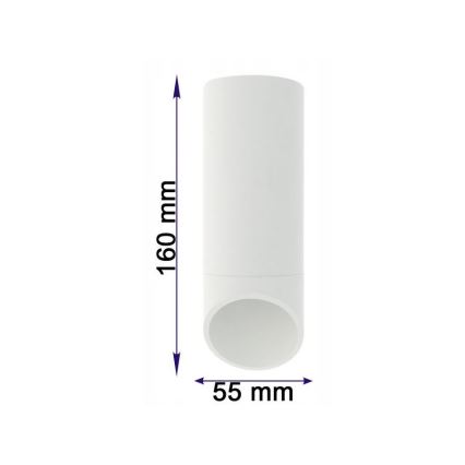 Kohdevalo VALDA 1xGU10/60W/230V valkoinen