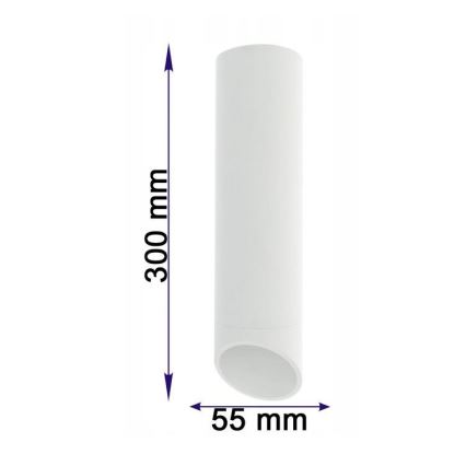 Kohdevalo VALDA 1xGU10/60W/230V valkoinen