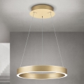 KOLK himmennettävä LED-riippuvalaisin vaijerilla LED/40W/230V 2700/3000/4000K halkaisija 40 cm kultainen