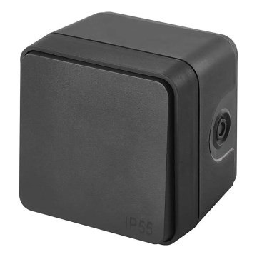 Kotikytkin kytkin 250V/10A IP55