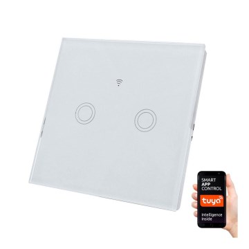 Kotikytkin SWITCH 2x1000W/5A Wi-Fi Tuya