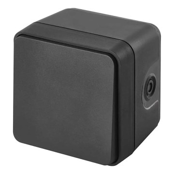 Kotikytkin vuorotellen 250V/10A IP55